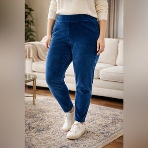 Wonderly Studio Velour Pants Size 2X